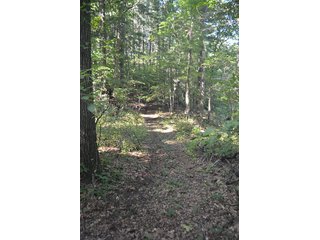 Property photo 11 - REAL ESTATE & LAND AUCTION-GOSHEN COLLEGE REAL LOG & MORTAR CABIN-37.86+/- ACRES
