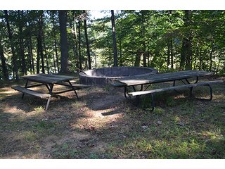 Property photo 68 - REAL ESTATE & LAND AUCTION-GOSHEN COLLEGE REAL LOG & MORTAR CABIN-37.86+/- ACRES