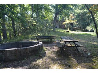 Property photo 67 - REAL ESTATE & LAND AUCTION-GOSHEN COLLEGE REAL LOG & MORTAR CABIN-37.86+/- ACRES