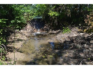 Property photo 48 - REAL ESTATE & LAND AUCTION-GOSHEN COLLEGE REAL LOG & MORTAR CABIN-37.86+/- ACRES