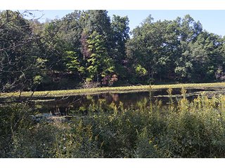 Property photo 43 - REAL ESTATE & LAND AUCTION-GOSHEN COLLEGE REAL LOG & MORTAR CABIN-37.86+/- ACRES