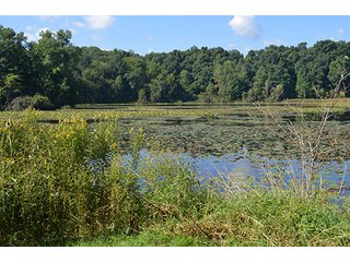 Property photo 41 - REAL ESTATE & LAND AUCTION-GOSHEN COLLEGE REAL LOG & MORTAR CABIN-37.86+/- ACRES
