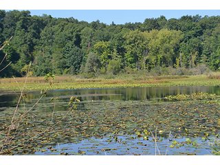 Property photo 24 - REAL ESTATE & LAND AUCTION-GOSHEN COLLEGE REAL LOG & MORTAR CABIN-37.86+/- ACRES