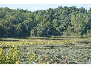 Property photo 44 - REAL ESTATE & LAND AUCTION-GOSHEN COLLEGE REAL LOG & MORTAR CABIN-37.86+/- ACRES