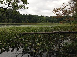Property photo 46 - REAL ESTATE & LAND AUCTION-GOSHEN COLLEGE REAL LOG & MORTAR CABIN-37.86+/- ACRES
