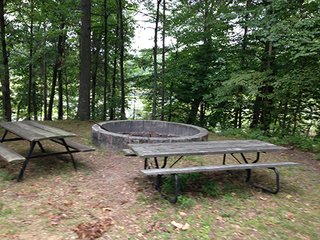 Property photo 66 - REAL ESTATE & LAND AUCTION-GOSHEN COLLEGE REAL LOG & MORTAR CABIN-37.86+/- ACRES