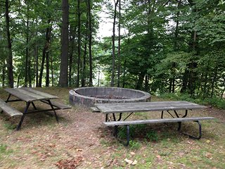 Property photo 62 - REAL ESTATE & LAND AUCTION-GOSHEN COLLEGE REAL LOG & MORTAR CABIN-37.86+/- ACRES