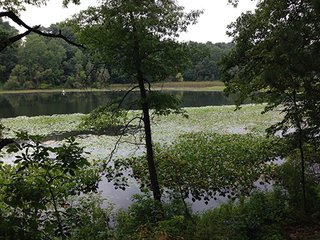 Property photo 93 - REAL ESTATE & LAND AUCTION-GOSHEN COLLEGE REAL LOG & MORTAR CABIN-37.86+/- ACRES