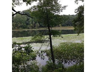 Property photo 49 - REAL ESTATE & LAND AUCTION-GOSHEN COLLEGE REAL LOG & MORTAR CABIN-37.86+/- ACRES