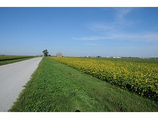 Tract 5 - ILLINOIS LAND AUCTION, 5 Farms, 673+/- Acres offered in 7 Tracts
