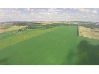 Tract 7 - ILLINOIS LAND AUCTION, 5 Farms, 673+/- Acres offered in 7 Tracts