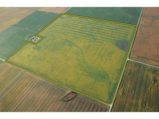 Tracts 2 & 3 - ILLINOIS LAND AUCTION, 5 Farms, 673+/- Acres offered in 7 Tracts