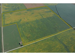 Tracts 4 & 5 - ILLINOIS LAND AUCTION, 5 Farms, 673+/- Acres offered in 7 Tracts