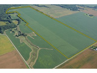 Tract 7 - ILLINOIS LAND AUCTION, 5 Farms, 673+/- Acres offered in 7 Tracts