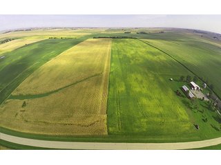 Tracts 1 - ILLINOIS LAND AUCTION, 5 Farms, 673+/- Acres offered in 7 Tracts