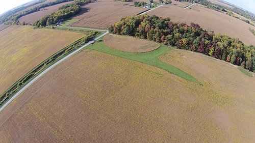 Property photo 2 - LAND AUCTION, 80+/- Acres offered in 1 Tract