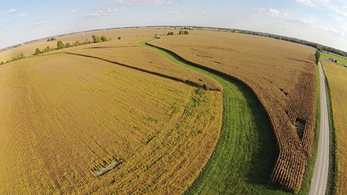 Property photo 5 - LAND AUCTION, 80+/- Acres offered in 1 Tract