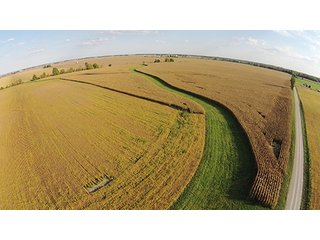 Property photo 5 - LAND AUCTION, 80+/- Acres offered in 1 Tract