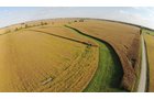 Property photo 5 - LAND AUCTION, 80+/- Acres offered in 1 Tract