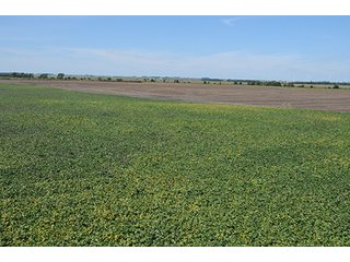 Property photo 2 - INDIANA FARMLAND AUCTION, 350+/- Acres offered in 3 Tracts