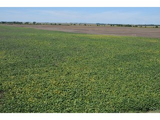 Property photo 1 - INDIANA FARMLAND AUCTION, 350+/- Acres offered in 3 Tracts