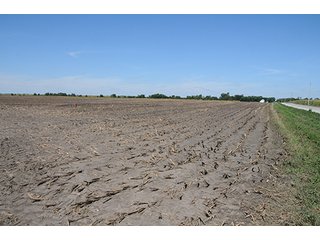 Property photo 9 - INDIANA FARMLAND AUCTION, 350+/- Acres offered in 3 Tracts