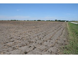Property photo 10 - INDIANA FARMLAND AUCTION, 350+/- Acres offered in 3 Tracts