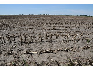 Property photo 14 - INDIANA FARMLAND AUCTION, 350+/- Acres offered in 3 Tracts
