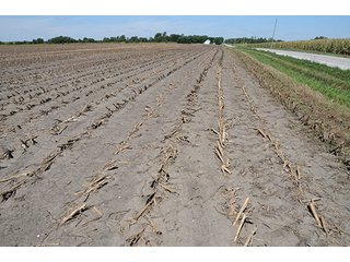 Property photo 12 - INDIANA FARMLAND AUCTION, 350+/- Acres offered in 3 Tracts