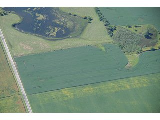 Property photo 71 - INDIANA FARMLAND AUCTION, 350+/- Acres offered in 3 Tracts