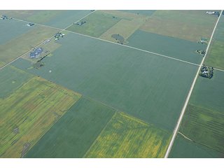 Property photo 36 - INDIANA FARMLAND AUCTION, 350+/- Acres offered in 3 Tracts