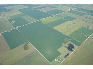 Property photo 47 - INDIANA FARMLAND AUCTION, 350+/- Acres offered in 3 Tracts