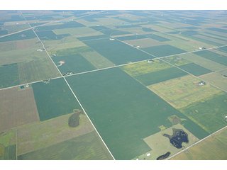 Property photo 45 - INDIANA FARMLAND AUCTION, 350+/- Acres offered in 3 Tracts