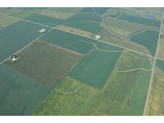 Property photo 61 - INDIANA FARMLAND AUCTION, 350+/- Acres offered in 3 Tracts