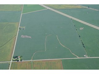 Property photo 81 - INDIANA FARMLAND AUCTION, 350+/- Acres offered in 3 Tracts