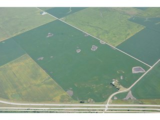 Property photo 37 - INDIANA FARMLAND AUCTION, 350+/- Acres offered in 3 Tracts