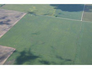 Property photo 51 - INDIANA FARMLAND AUCTION, 350+/- Acres offered in 3 Tracts