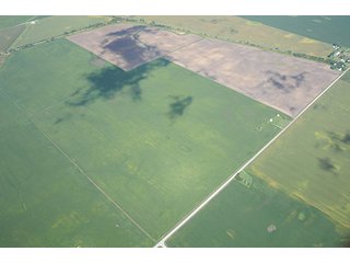 Property photo 70 - INDIANA FARMLAND AUCTION, 350+/- Acres offered in 3 Tracts