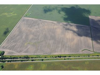Property photo 66 - INDIANA FARMLAND AUCTION, 350+/- Acres offered in 3 Tracts