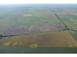Property photo 30 - INDIANA FARMLAND AUCTION, 350+/- Acres offered in 3 Tracts