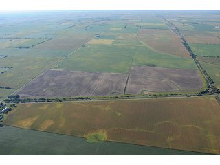Property photo 43 - INDIANA FARMLAND AUCTION, 350+/- Acres offered in 3 Tracts