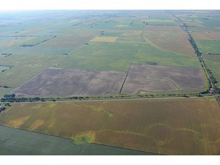 Property photo 44 - INDIANA FARMLAND AUCTION, 350+/- Acres offered in 3 Tracts