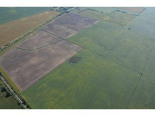 Property photo 56 - INDIANA FARMLAND AUCTION, 350+/- Acres offered in 3 Tracts