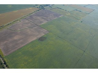 Property photo 19 - INDIANA FARMLAND AUCTION, 350+/- Acres offered in 3 Tracts