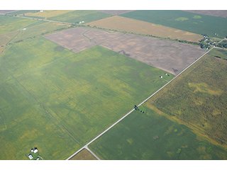 Property photo 27 - INDIANA FARMLAND AUCTION, 350+/- Acres offered in 3 Tracts