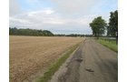 Property photo 3 - LAND AUCTION, 118.508+/- Acres offered in 2 Tracts
