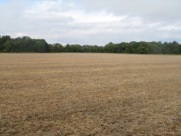 LAND AUCTION, 118.508+/- Acres offered in 2 Tracts