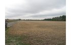 Property photo 7 - LAND AUCTION, 118.508+/- Acres offered in 2 Tracts