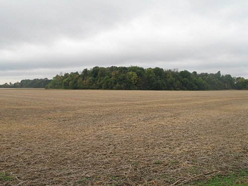 Property photo 2 - LAND AUCTION, 118.508+/- Acres offered in 2 Tracts