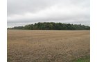 Property photo 2 - LAND AUCTION, 118.508+/- Acres offered in 2 Tracts